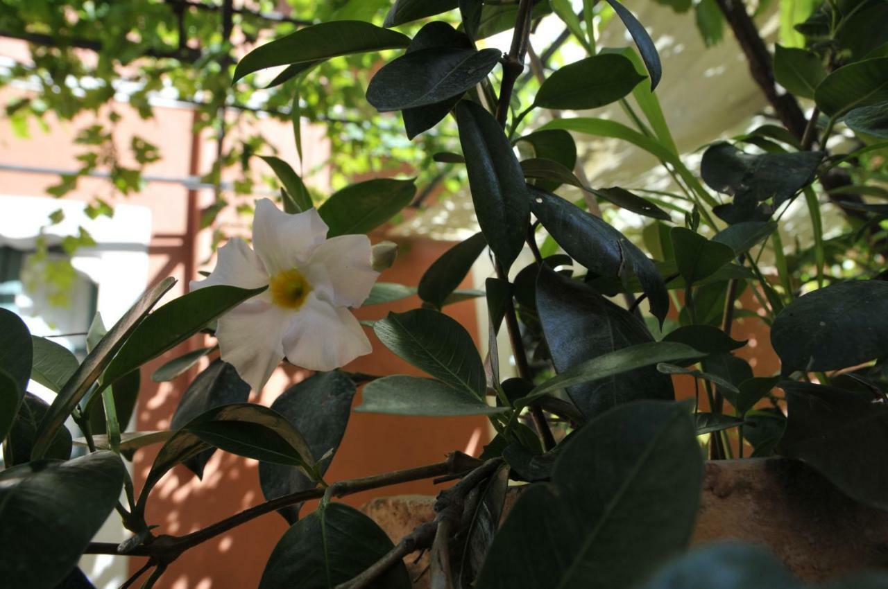 טאורמינה Casa Cifali מראה חיצוני תמונה